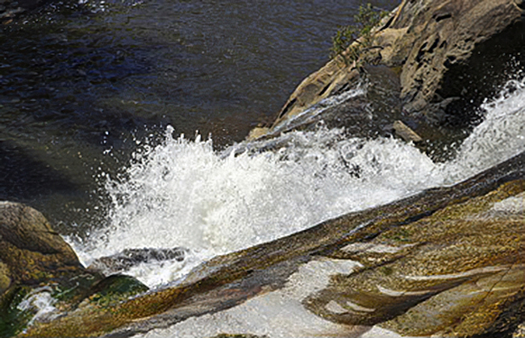 Downstreamby Judy Hofmeyer